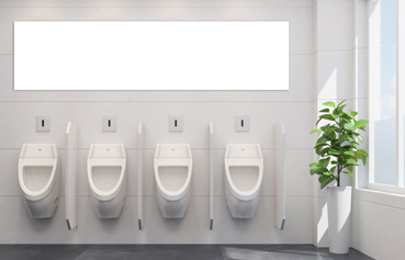 Cleaning of sanitary facilities, washroom products